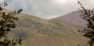 jablanica sebenik najgolemiot i najnoviot nacionalen park vo albanija intro