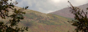 jablanica sebenik najgolemiot i najnoviot nacionalen park vo albanija intro