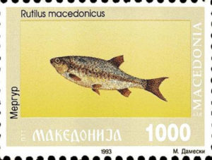 makedonskata priroda niz postenskite marki 182e4e76e8 e1e2 ab 43f1 4fe78de26e55