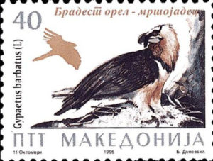 makedonskata priroda niz postenskite marki 21b19464b 8b5 13fa c311 533c6d535e9