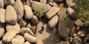 ekoprofil nikolaj doikin nacionalen park vitosa intro