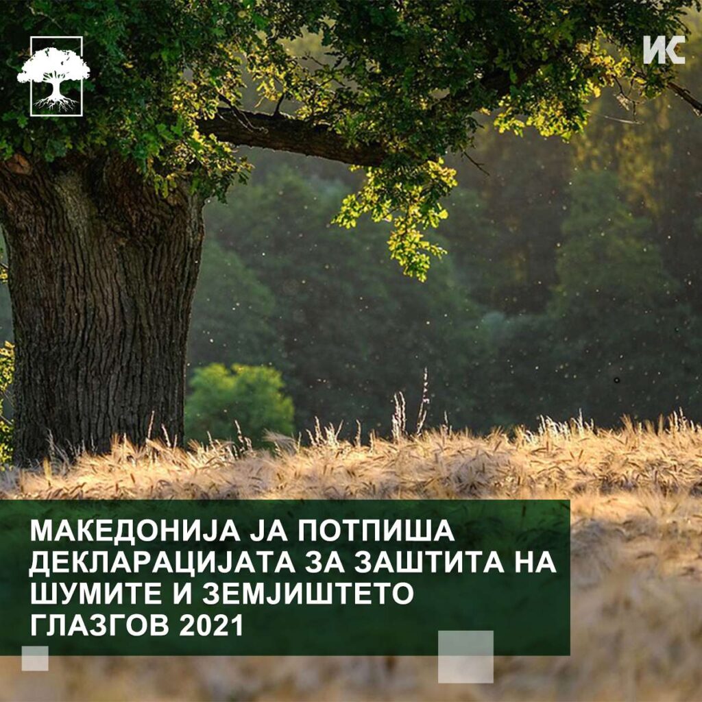Фотографија од дрво со испишан текст: Македонија ja потпиша Декларацијата за заштита на шумите и земјиштето Глазгов 2021