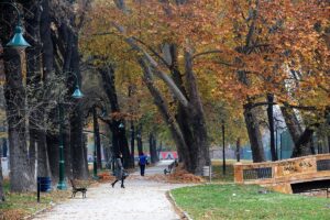 Фотографија од пешачките патеки во градскиот парк на есен.