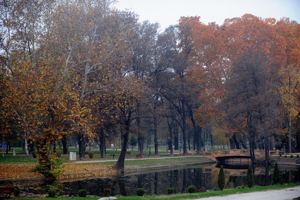 Фотографија од малото езерце во близина на стадионот во градскиот парк во Скопје.