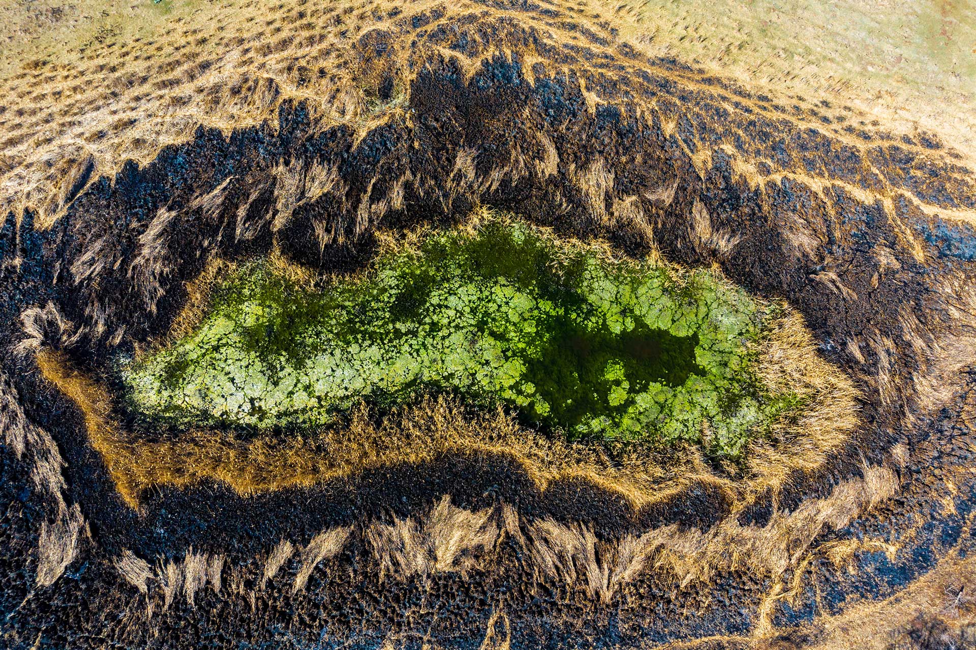 kundinsko ezero vulkanski biser na osogovijata 5