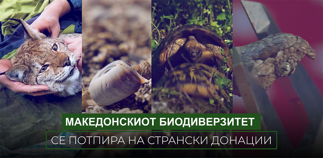 makedonskiot biodiverzitet se potpira na stranski donacii