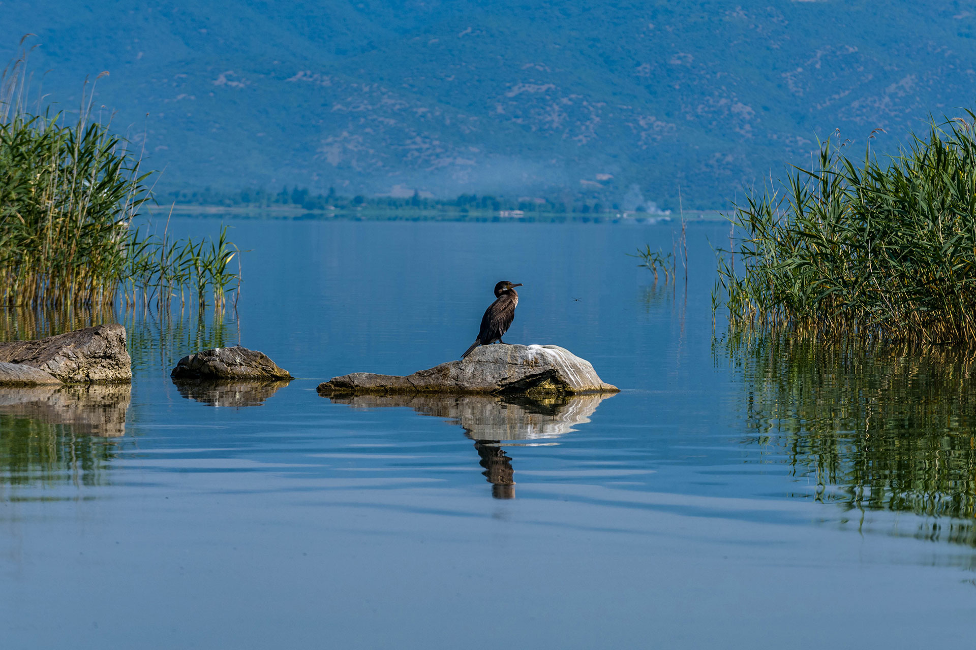dojransko ezero spomenik na prirodata bez naucna valorizacija 12