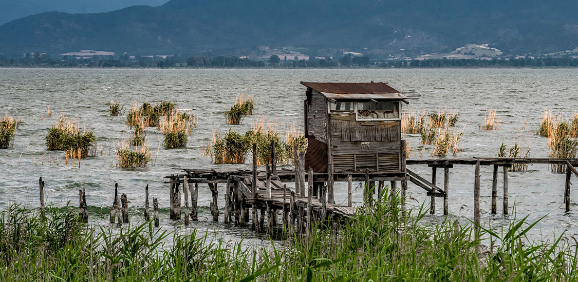 dojransko ezero spomenik na prirodata bez naucna valorizacija featured
