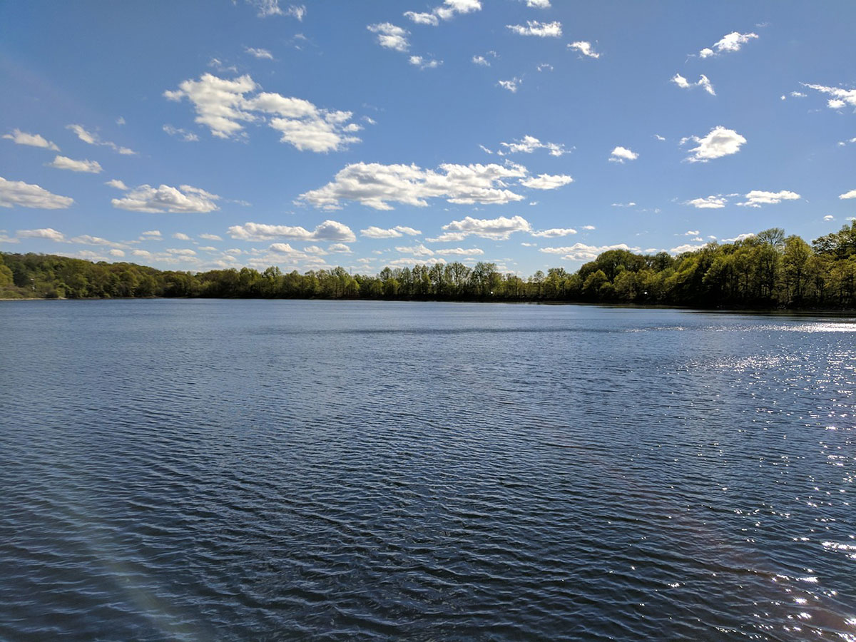 Фотографија на која се гледа мало езеро, опколено со шума.