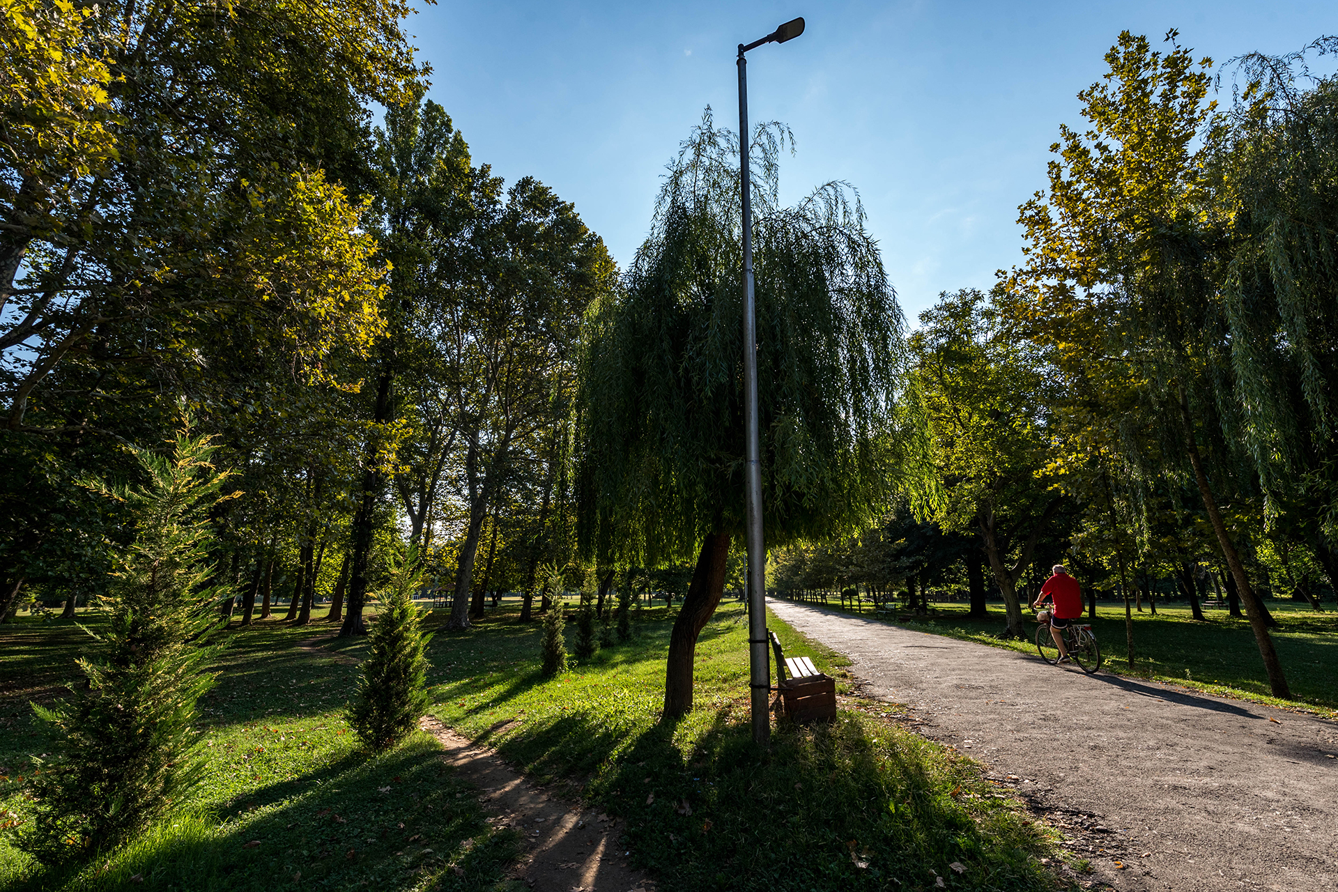 Фотографија од паркот во Сарај